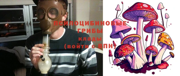 гидропоника Семёнов