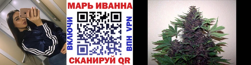 Купить где  Мценск  Конопля Amnesia 